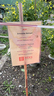 plakat-garten-kopie.jpg